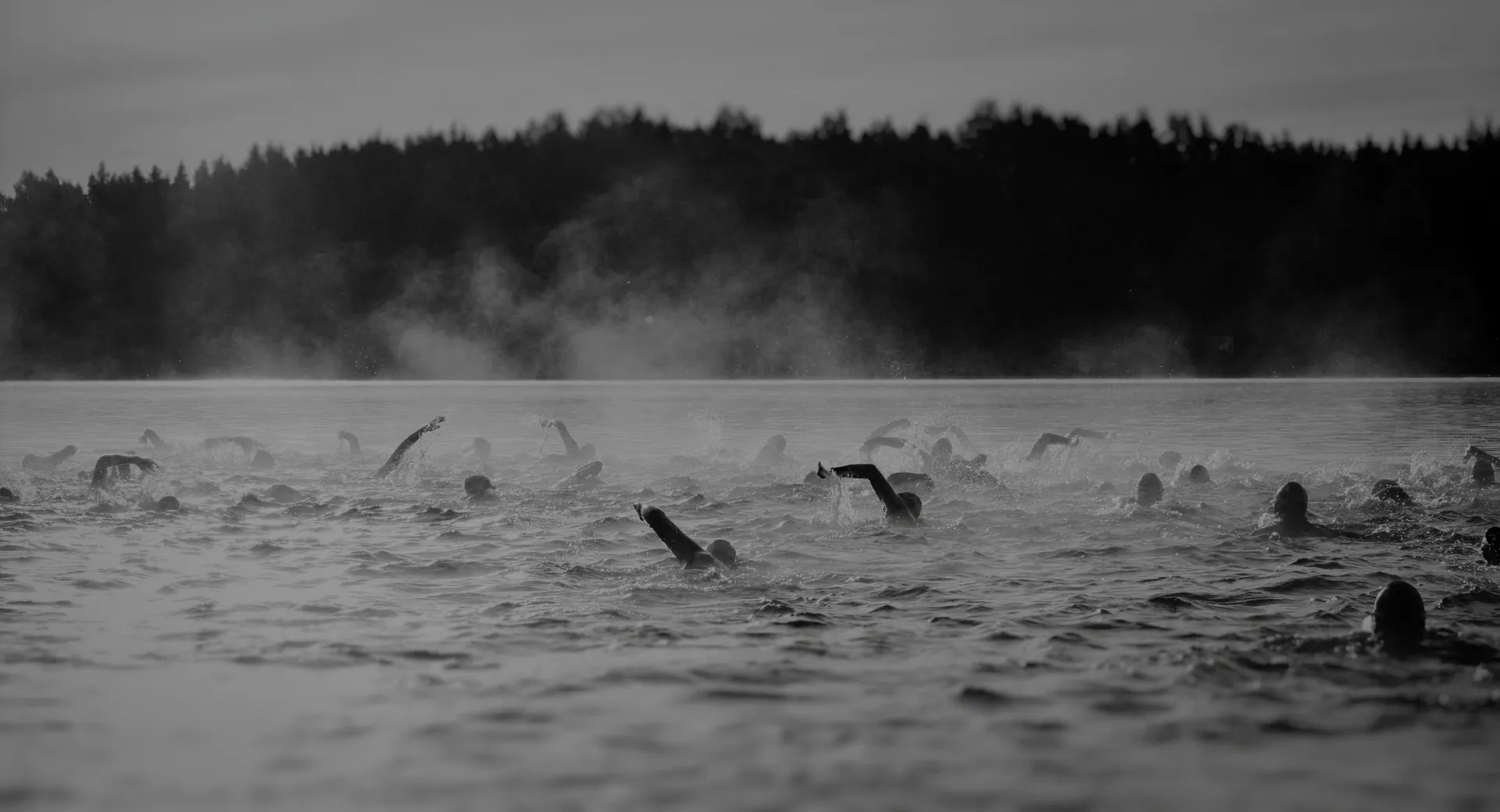 Schwimmer beim Freiwasserschwimmen in einem See als Illustration der Distanzkorrektur von SwimNow